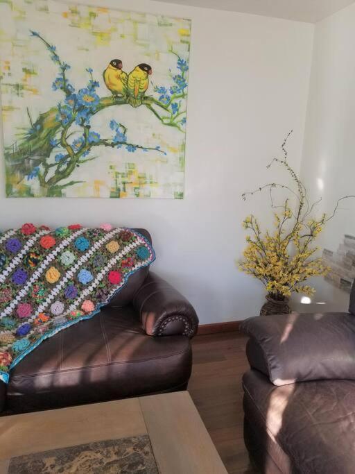 Your Home In קולורדו ספרינגס מראה חיצוני תמונה